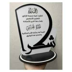 درع ليزر حسب الطلب – تصميم L-11