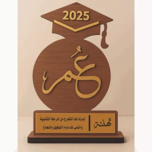 درع ليزر حسب الطلب – تصميم L-13